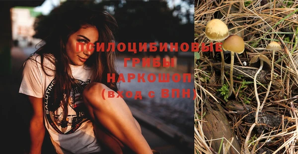 мескалин Лабытнанги